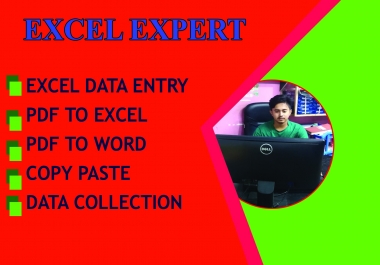 I will do excel data entry,  data collection and data mining