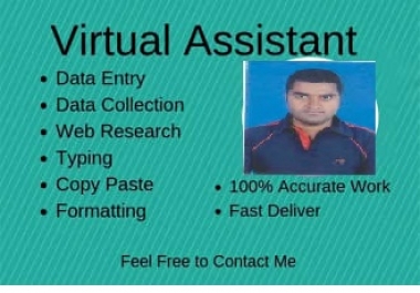 I will do data entry,  web research,  find business email and contacts
