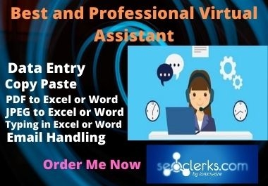 Best and professional Virtual Assistant