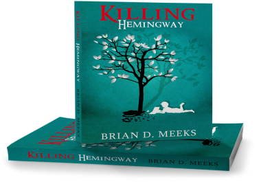 I will make a high quality ebook cover professionally in less than 24 hours