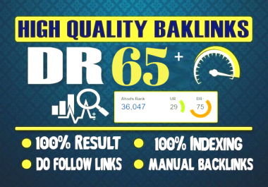 i Will Create DR 50 to 65 PBN Backlinks On 10 Unique Domains PBNs