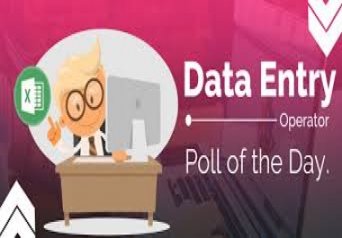 I will virtual Word press Assistant