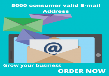 i will provide you 5000 consumer targeted email address