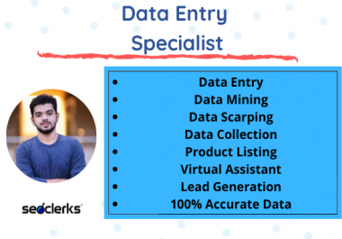 I will do Excel Data Entry and Web Research For Your Business