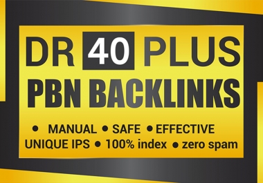 Permanent 10 DR 40 Plus Homepage High Quality PBN Backlinks