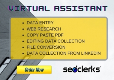 I will be your expert assistant for virtual data entry and web research