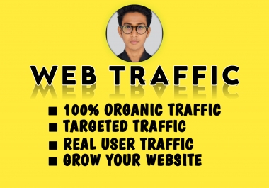 I will do provide you,  your usa web traffic on your website/ Blog