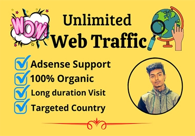 I will drive organic Web Traffic safe for your website