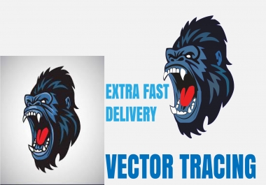 I will vectorize tracing redraw convert file logo artwork sketch image to vector ai