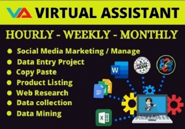 I will be your professional virtual assistant for any kind of work