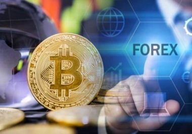 Boost Your Crypto & Forex Presence 3 High-Quality Websites & SEO Backlinks