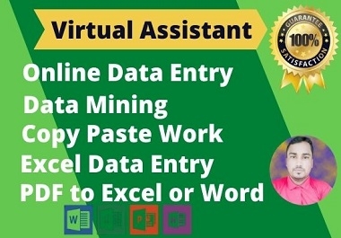 I will do virtual assistant for data entry, data mining, copy paste