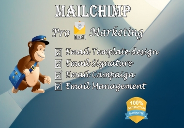 I will create mailchimp template and run campaign