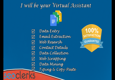 I can be your virtual assistant for Web Research & perfect Data Entry