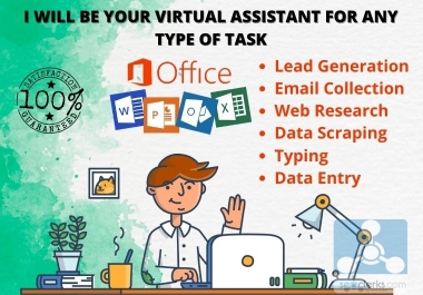 I will be your virtual assistant for any type of online or,  offline task.