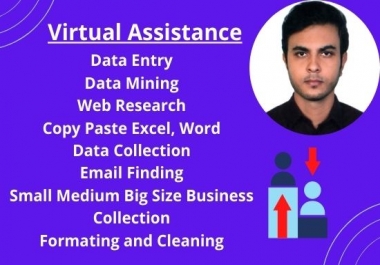 I will be a virtual assistant for your data entry,  data mining and web research