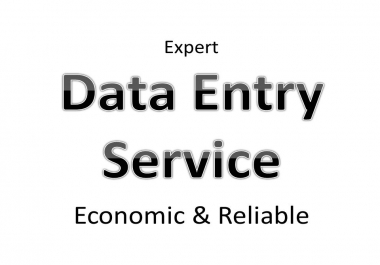 I will do any kind of data entry with my expertise just in the shortest possible time
