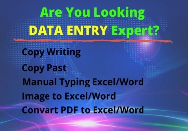 I will Provide you Data Entry and Copy Writing work