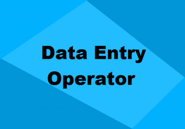 I will provide any kind of data entry work
