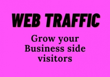 I will drive safe real organic visitors & organic web traffic