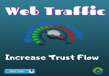 I will drive real organic web traffic