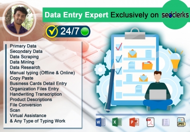 I will be your data entry expert for 5 hours daily