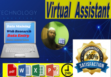 I will be virtual assistant for data entry and data mining