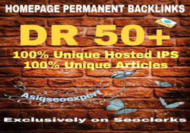 I will create 100 PBN DR 50+ Dofollow permanent homepage pbn backlink
