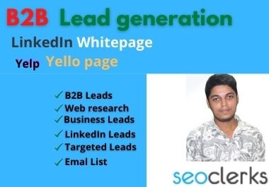 I will do b2b lead generation and web research for your business