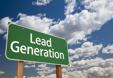 I will do B2B leads generations and data mining