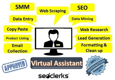 I will be your Personal and Administrative Virtual Assistant and do any kind of job.