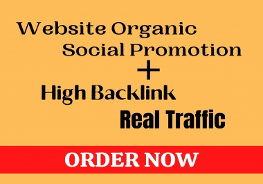 Organic Website Promotion With High Bancklink & Get real Web Traffic