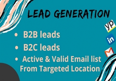I will do 100 B2B Lead Generation with valid emails.
