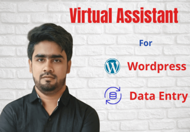 I will be your professional WordPress virtual assistant