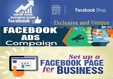 I will create and setup an impressive Facebook page or manage ad campaign or many more optimization