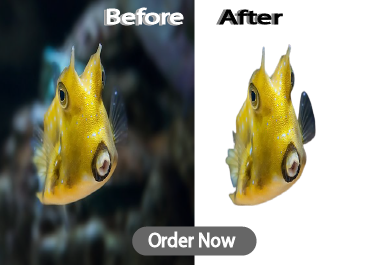 I will professionally remove from 10 background image