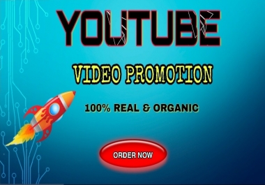 Best YT Video promotion for you fast delivery only for 2