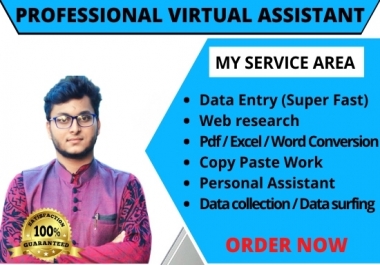 I will be your Professional & Expert virtual assistant
