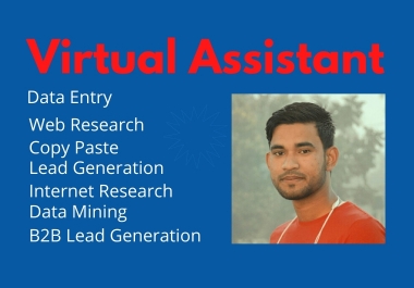 I will be your Virtual Assistant for any kind of works