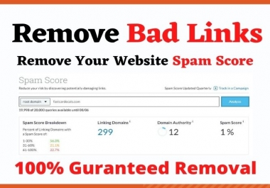 I will disavow bad backlinks and remove your website MOZ spam score