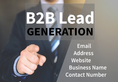I will generate 100 B2B leads as your niche