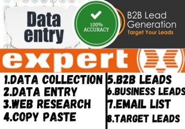 I will do data entry,  web research copy paste excel data entry and leads generations