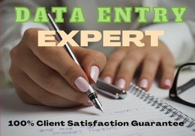 I Will Do Data Entry,  Copy Paste,  Copy Right and any data entry