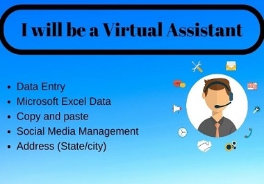 I will be your professional virtual assistant for any kind of services
