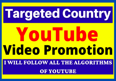 I Will do Targeted All Country YouTube Video Promotion and Marketing
