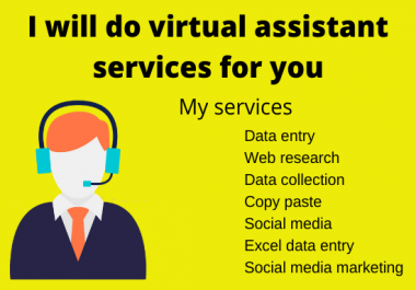 I will do virtual assistant services for you