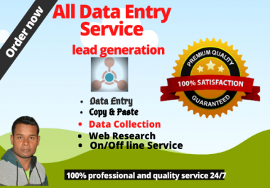 I will do professional Data Entry and lead generation expert