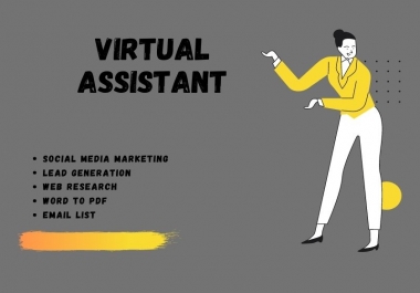 I will be your admirable virtual assistant