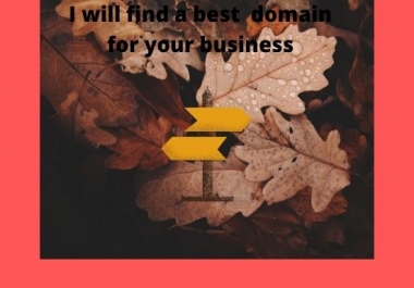 I will find a best domain for your business