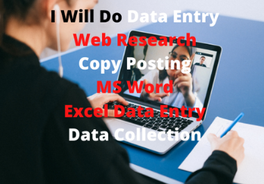 I will doOnline data entry,  copy posting,  excel, data collection, and other